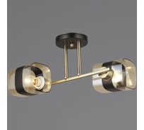 Потолочный светильник Reluce 04223-0.3-02 AB+BK