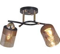 Потолочный светильник Reluce 09131-3.3-02 FG+BK