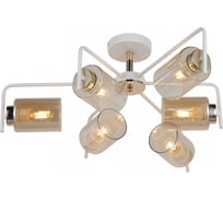 Потолочная люстра ILLUMICO IL8248-6COU-79 WH GD