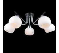 Потолочная люстра ILLUMICO IL0713-5CSQ-24 BK CR LIBRA
