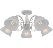 Потолочная люстра ILLUMICO IL0232-5CSQ-24 SS SPICA