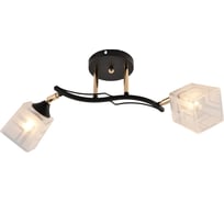 Потолочный светильник Reluce 01594-3.3-02B BK+FGD