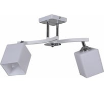 Потолочный светильник Reluce 03323-0.3-02N