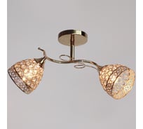 Потолочный светильник Reluce 03173-0.3-02