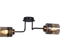 Потолочный светильник Reluce 61713-0.3-02