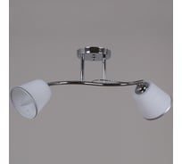 Потолочный светильник Reluce 32333-0.3-02