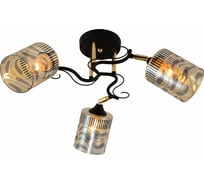 Потолочный светильник Reluce 11313-0.3-03 BK+FGD