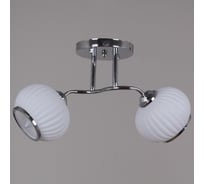 Потолочный светильник Reluce 30753-0.3-02