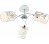 Потолочный светильник Reluce 01332-0.3-03 WH+CR