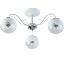 Потолочный светильник Reluce 01326-0.3-03 WH+CR