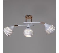 Потолочный светильник Reluce 70059-3.3-03 FG+WH