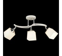 Потолочный светильник Reluce 04483-0.3-03 WT+CH