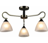 Потолочный светильник Reluce 03751-0.3-03