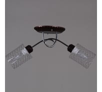 Потолочный светильник Reluce 32298-0.3-02