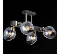 Потолочная люстра ILLUMICO IL9736-4CSQ-79 BK AB