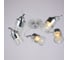 Потолочная люстра ILLUMICO IL8210-5COU-79 WH CR Elisa 1