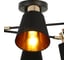 Потолочная люстра ILLUMICO IL6116-6COU-79 BK GD Abelie 2