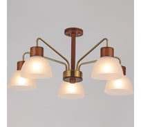 Потолочная люстра ILLUMICO IL0286-5C-79 BR