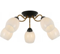 Потолочная люстра ILLUMICO IL8193-5COU-79 BK GD