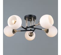 Потолочная люстра ILLUMICO IL0689-5CSQ-24 BK FGD LIBRA