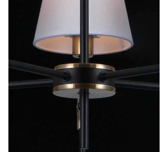 Потолочная люстра ILLUMICO IL0185-5CSQ-24 BK AB CASTOR