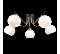 Потолочная люстра ILLUMICO IL0713-5CSQ-24 BK FGD LIBRA