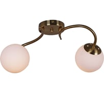 Потолочный светильник Reluce 81724-0.3-02