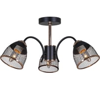 Потолочный светильник Reluce 01505-0.3-03 BK+FGD