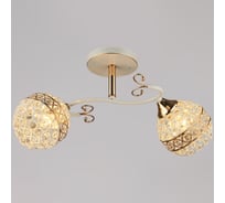 Потолочный светильник Reluce 03199-0.3-02