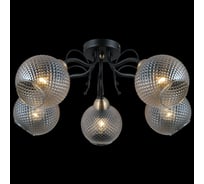 Потолочная люстра ILLUMICO IL0190-5CSQ-79 BK AB
