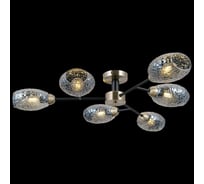 Потолочная люстра ILLUMICO IL0285-6CSQ-79 BK AB