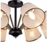 Потолочная люстра ILLUMICO IL0344-8CSQ-79 BK AB 4
