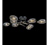 Потолочная люстра ILLUMICO IL0255-8CSQ-79 BK AB