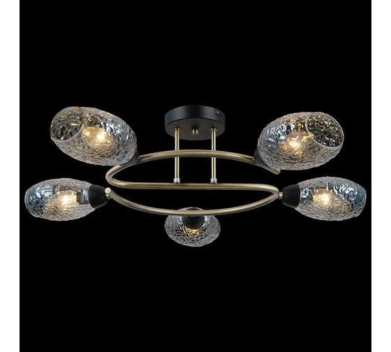 Потолочная люстра ILLUMICO IL0300-5CSQ-79 BK AB 1