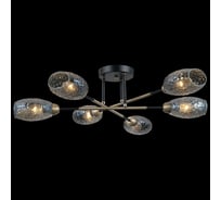 Потолочная люстра ILLUMICO IL0255-6CSQ-79 BK AB