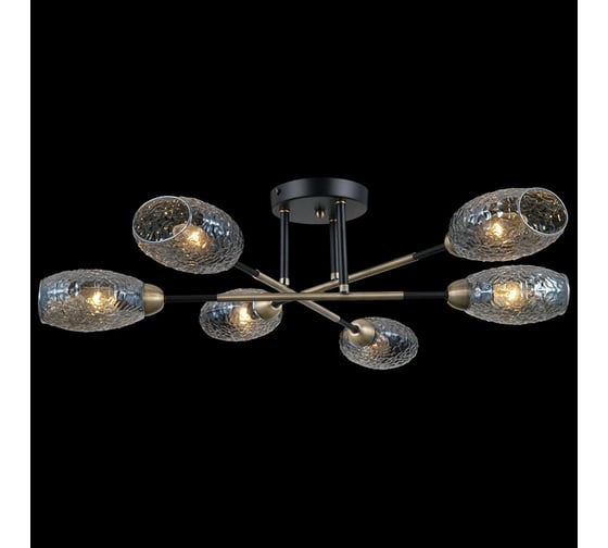 Потолочная люстра ILLUMICO IL0255-6CSQ-79 BK AB 1