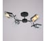 Потолочная люстра ILLUMICO IL8208-4COU-79 BK CR Iola 1