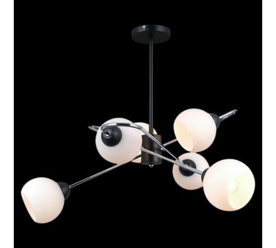 Потолочная люстра ILLUMICO IL0451-6PCSQ-79 BK 1