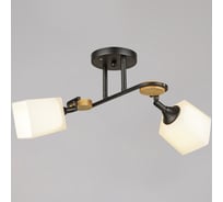 Потолочный светильник Reluce 04217-0.3-02 BK