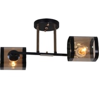 Потолочный светильник Reluce 09063-3.3-02 BK+FG