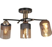 Потолочный светильник Reluce 09131-3.3-03 FG+BK