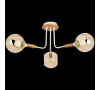 Потолочный светильник Reluce 52086-0.3-03