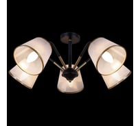 Потолочная люстра ILLUMICO IL0344-5CSQ-79 BK AB