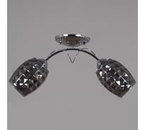 Потолочный светильник Reluce 31326-0.3-02