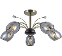 Потолочная люстра ILLUMICO IL9737-5CSQ-29 BK AB