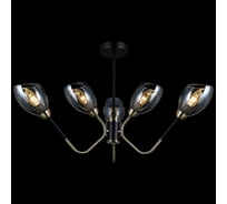 Потолочная люстра ILLUMICO IL9960-6CSQ-79 BK AB