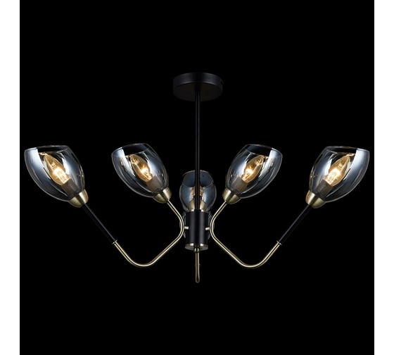 Потолочная люстра ILLUMICO IL9960-6CSQ-79 BK AB