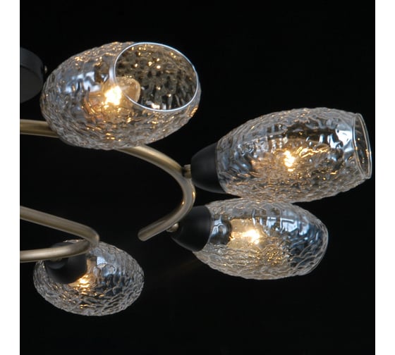 Потолочная люстра ILLUMICO IL0300-8CSQ-79 BK AB