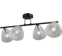 Потолочная люстра ILLUMICO IL0739-4CSQ-24 BK FGD ARIES