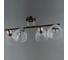 Потолочная люстра ILLUMICO IL0739-4CSQ-24 BK FGD ARIES 2